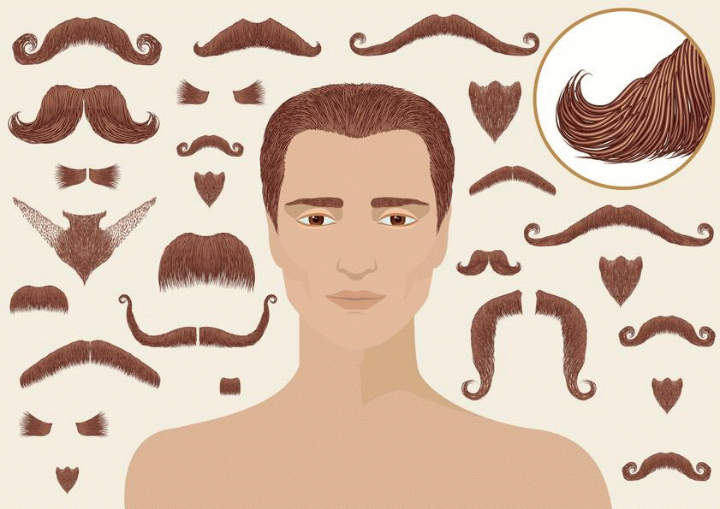 Différentes sortes de moustaches