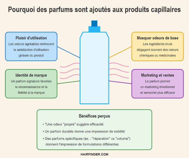 Infographie - Pourquoi des parfums sont ajoutés aux produits capillaires