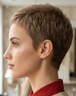 Coiffure courte laissant les oreilles d&eacute;gag&eacute;es