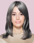 Cheveux Longs Gris Argent