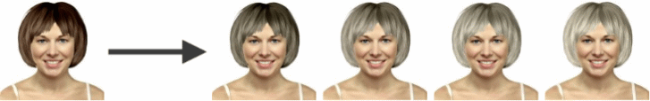 Simulation de cheveux gris
